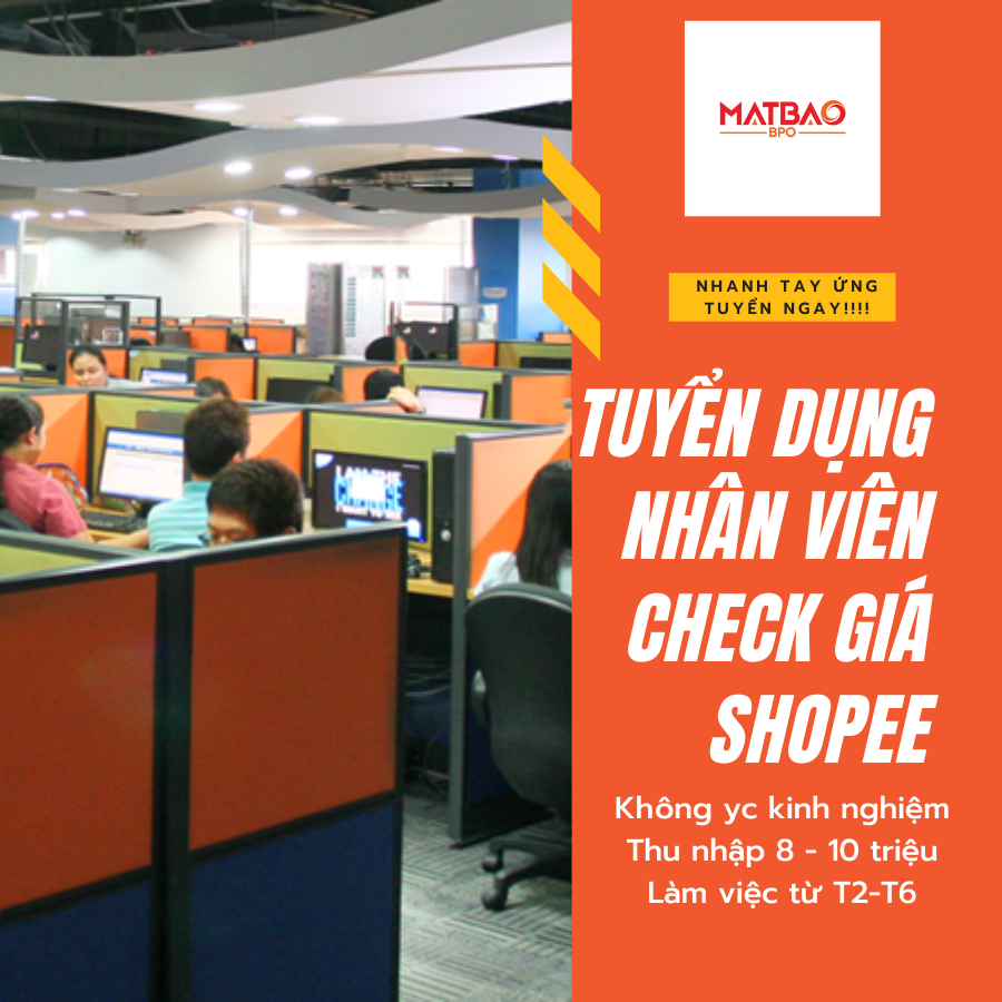 lĩnh vực hoạt động